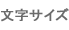 文字サイズ